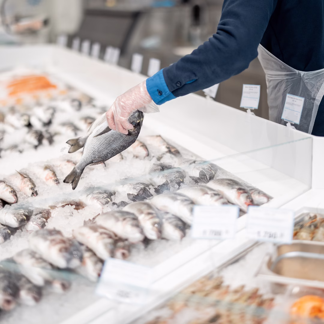 Poissonnerie, produits de la mer
